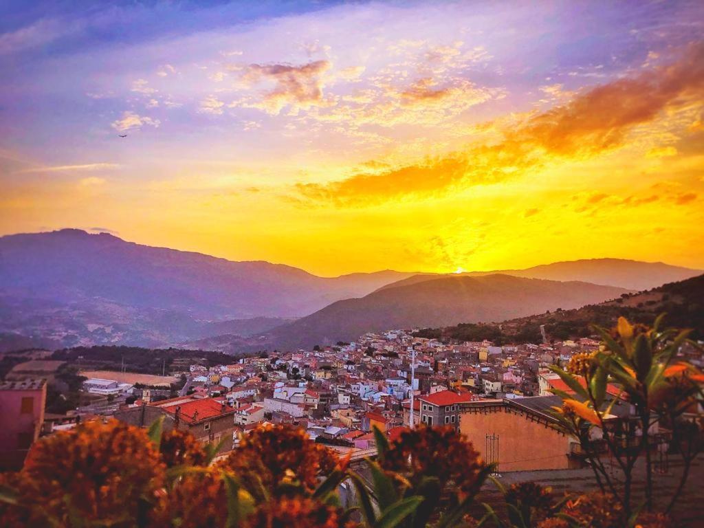Sardegna Orgosolo