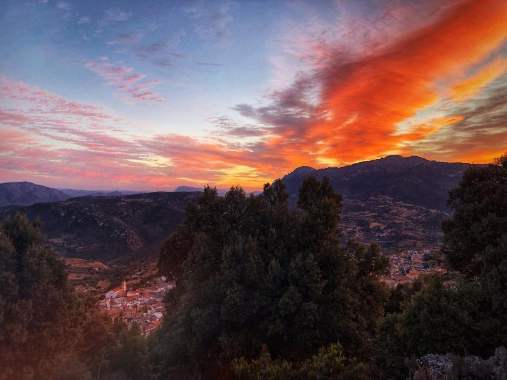 Sardegna Bed & Breakfast Orgosolo