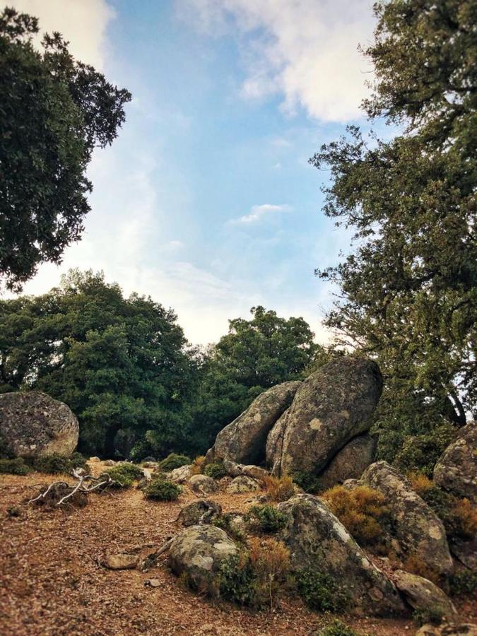Sardegna