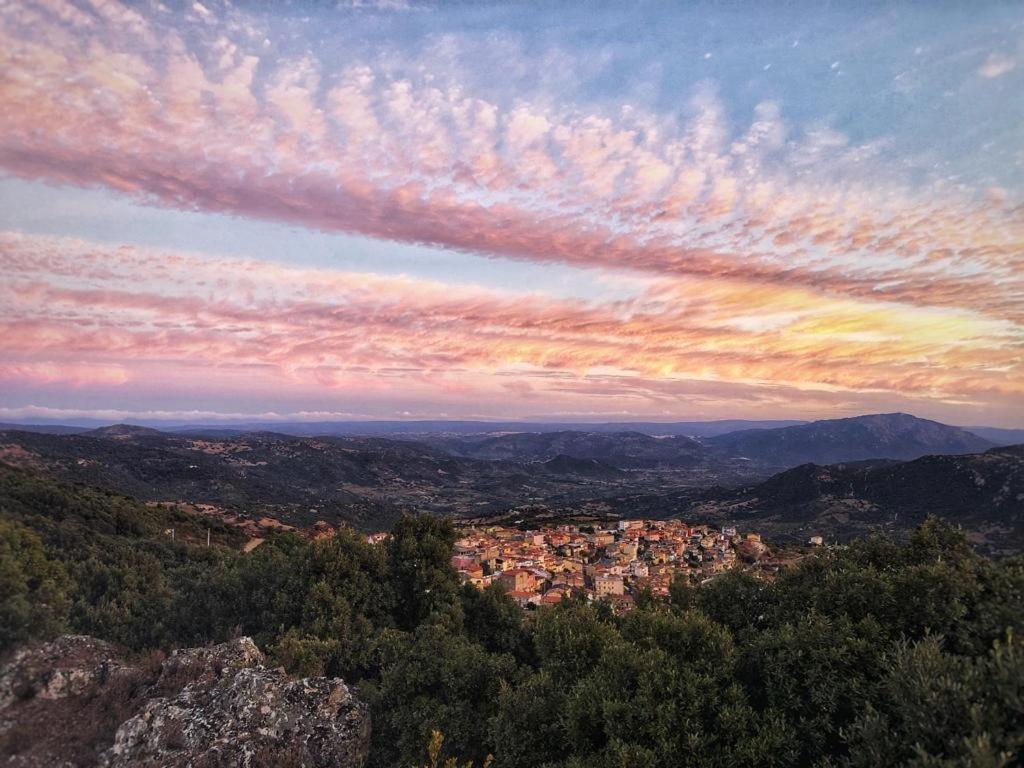 Bed & Breakfast Sardegna Orgosolo