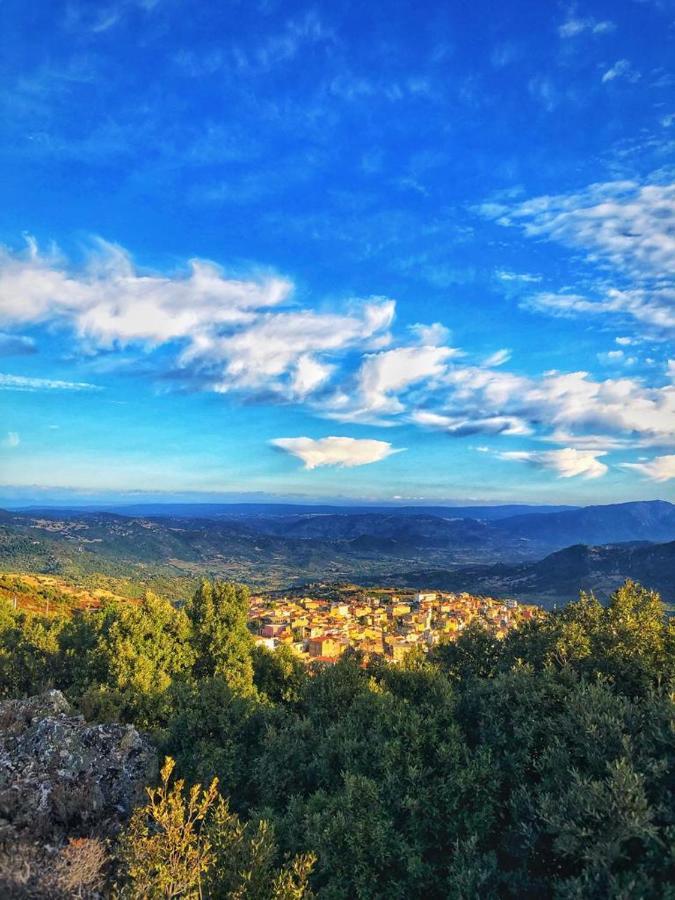 Bed & Breakfast Sardegna *